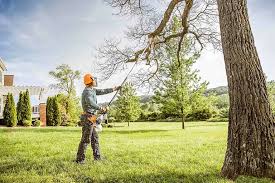 Sheridan, IN Tree Services Company